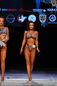 Кубок Вологодской области по бодибилдингу - 2026