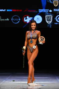 Кубок Вологодской области по бодибилдингу - 2026