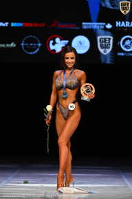 Кубок Вологодской области по бодибилдингу - 2026