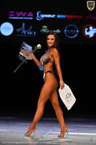 Кубок Вологодской области по бодибилдингу - 2026