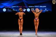 Кубок Вологодской области по бодибилдингу - 2026