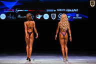 Кубок Вологодской области по бодибилдингу - 2026