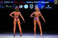 Кубок Вологодской области по бодибилдингу - 2026