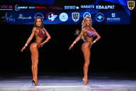 Кубок Вологодской области по бодибилдингу - 2026