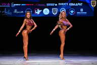 Кубок Вологодской области по бодибилдингу - 2026