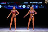 Кубок Вологодской области по бодибилдингу - 2026