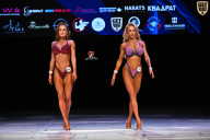 Кубок Вологодской области по бодибилдингу - 2026