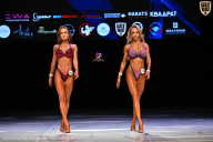 Кубок Вологодской области по бодибилдингу - 2026