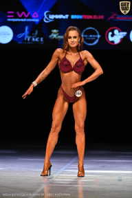 Кубок Вологодской области по бодибилдингу - 2026