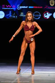 Кубок Вологодской области по бодибилдингу - 2026