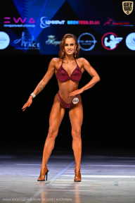 Кубок Вологодской области по бодибилдингу - 2026