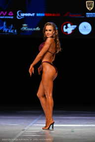 Кубок Вологодской области по бодибилдингу - 2026