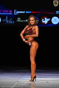 Кубок Вологодской области по бодибилдингу - 2026