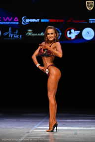 Кубок Вологодской области по бодибилдингу - 2026