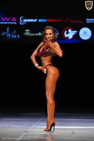 Кубок Вологодской области по бодибилдингу - 2026