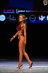 Кубок Вологодской области по бодибилдингу - 2026