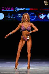 Кубок Вологодской области по бодибилдингу - 2026