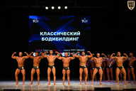 Кубок Вологодской области по бодибилдингу - 2026