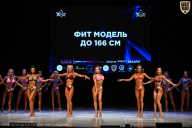 Кубок Вологодской области по бодибилдингу - 2026