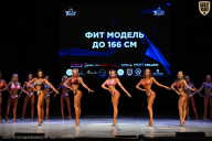 Кубок Вологодской области по бодибилдингу - 2026