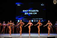 Кубок Вологодской области по бодибилдингу - 2026