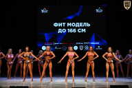 Кубок Вологодской области по бодибилдингу - 2026