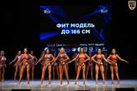 Кубок Вологодской области по бодибилдингу - 2026