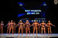 Кубок Вологодской области по бодибилдингу - 2026