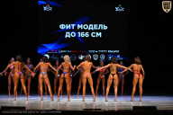 Кубок Вологодской области по бодибилдингу - 2026