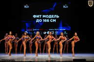 Кубок Вологодской области по бодибилдингу - 2026