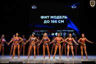 Кубок Вологодской области по бодибилдингу - 2026