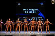 Кубок Вологодской области по бодибилдингу - 2026