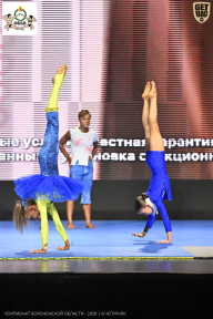 Чемпионат Воронежской области по бодибилдингу - 2026