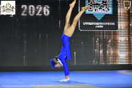 Чемпионат Воронежской области по бодибилдингу - 2026