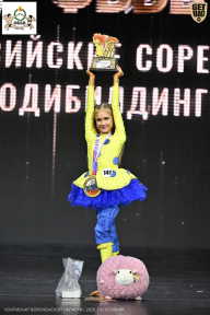 Чемпионат Воронежской области по бодибилдингу - 2026