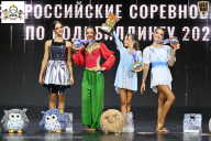 Чемпионат Воронежской области по бодибилдингу - 2026