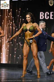 Чемпионат Воронежской области по бодибилдингу - 2026