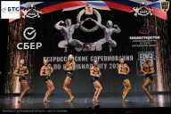 Чемпионат Воронежской области по бодибилдингу - 2026