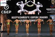 Чемпионат Воронежской области по бодибилдингу - 2026