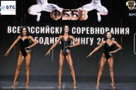 Чемпионат Воронежской области по бодибилдингу - 2026