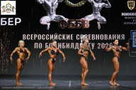 Чемпионат Воронежской области по бодибилдингу - 2026