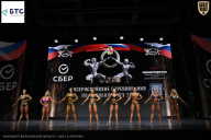 Чемпионат Воронежской области по бодибилдингу - 2026