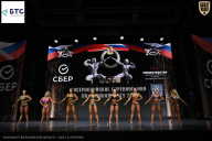 Чемпионат Воронежской области по бодибилдингу - 2026