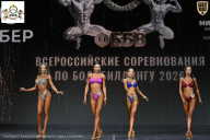 Чемпионат Воронежской области по бодибилдингу - 2026