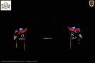 Чемпионат Воронежской области по бодибилдингу - 2026